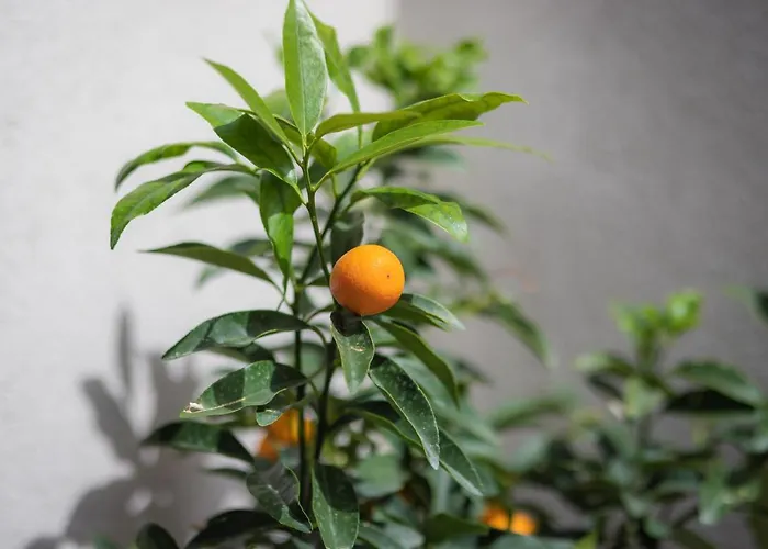 La Casa Di Filò Boutique 4*