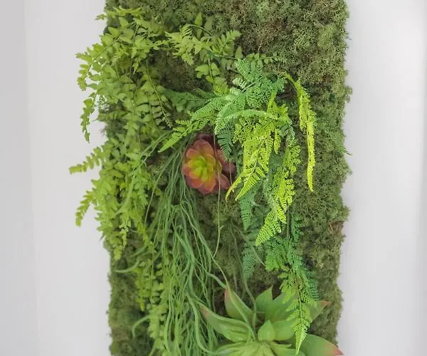 Bed & Breakfast La Casa Di Filò Boutique 4*